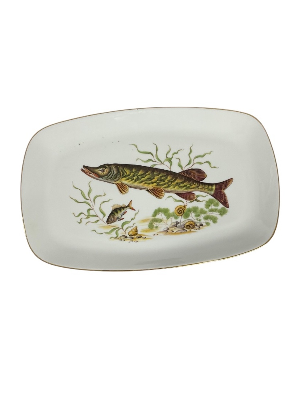 Vintage Eschenbach Bavaria Germany Fish Serving Platter 15 3/4” Porcelain Pike